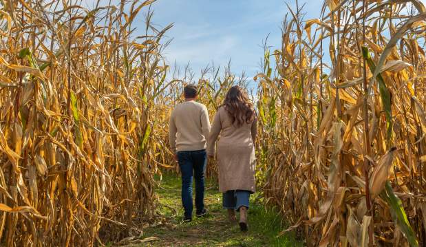 Corn Maze at Northhill