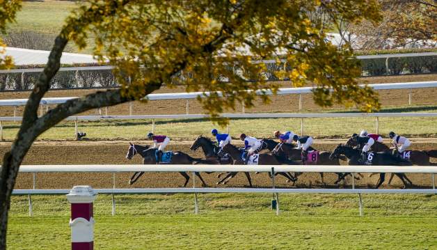 Breeders Cup