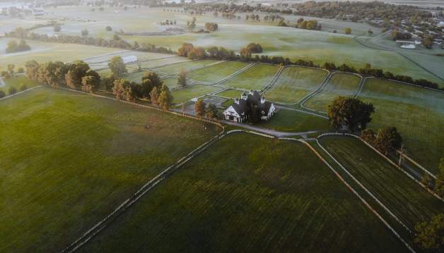 Blue grass Aerial