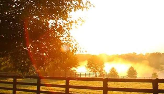 Farm Land