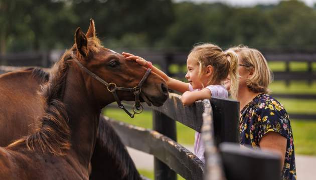 girl petting horse