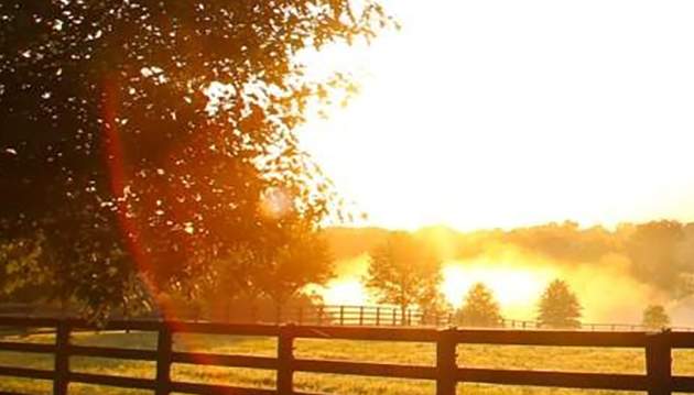 Farm Land