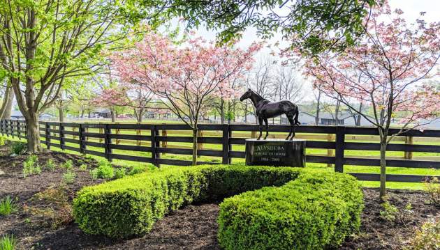 Horse Park is Open