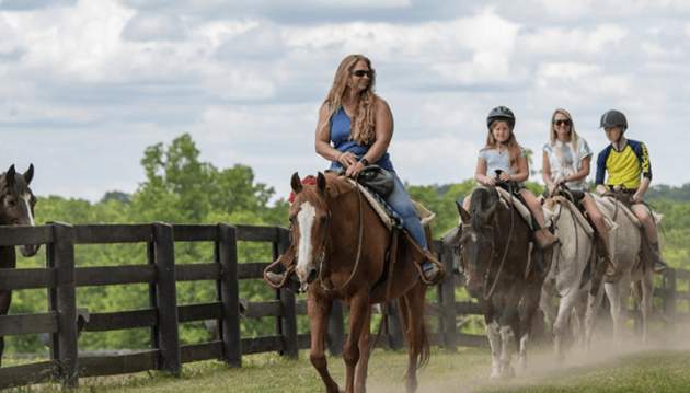 Visit Horse Country