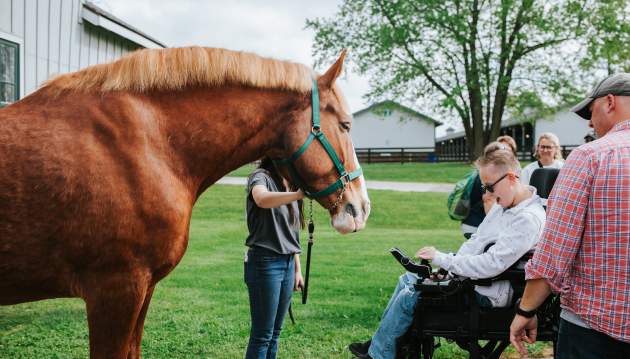 Horse Park Accessibility
