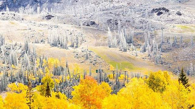 Golden aspens beneath a freshly snow-dusted Brian Head peak in early fall