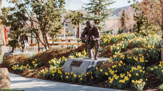 Daffodils in the Shakespeare Garden at the Beverley Center for the Arts