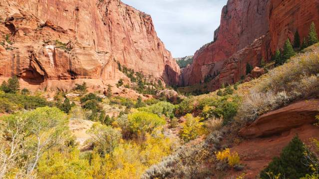 Kolob Canyons, Zion National Park, Fall