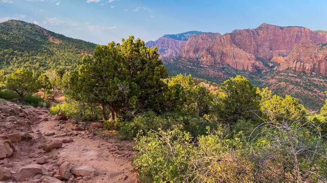 Kolob Timber Creek Trail