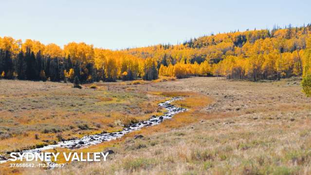 Sydney Valley  Fall Color
