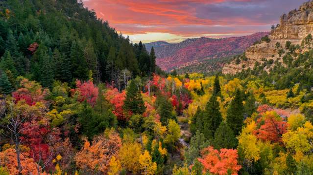 Yankee Meadow Road in Fall