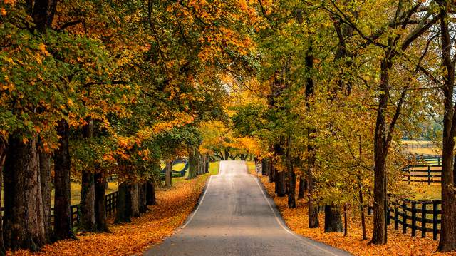 Top 7 Things To Do This Fall in Lexington, Kentucky