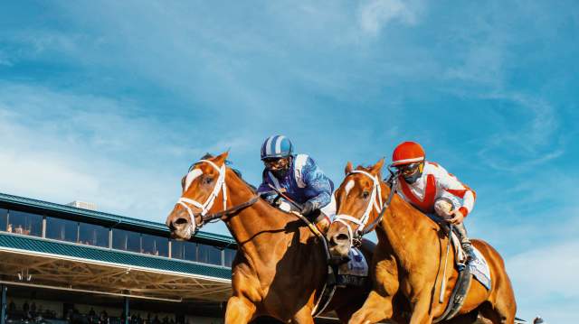 The Spring Activity Guide to Lexington