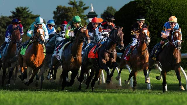 The Breeders’ Cup Guide to Lexington