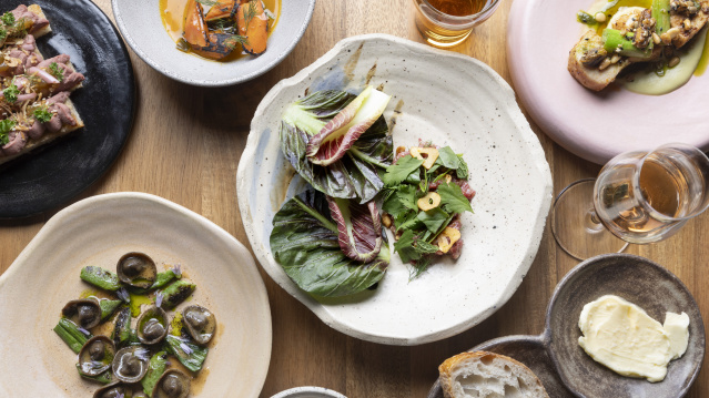 EsterEv Opening Spread