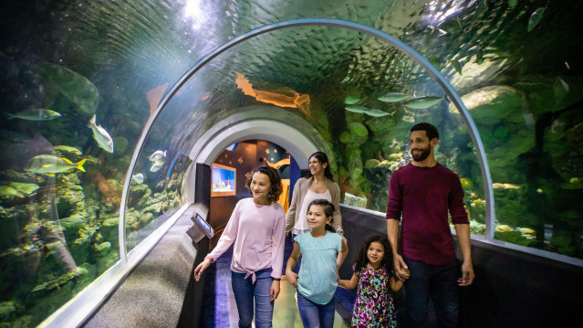 Discovery World Family