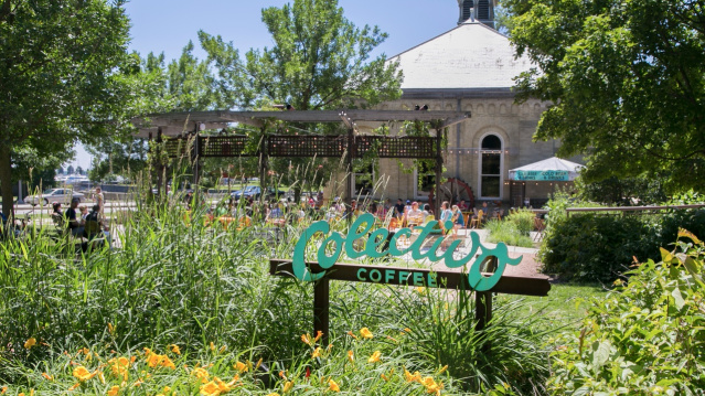 Colectivo sign surrounded by greenery