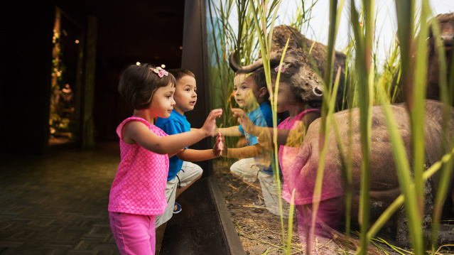 kids lean against exhibit glass