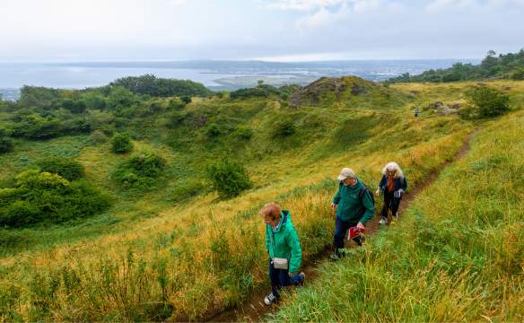 Belfast Walks & Trails