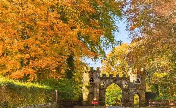 Autumn Walks In Northern Ireland