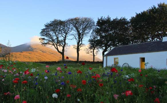 Accommodation in County Down Hotel