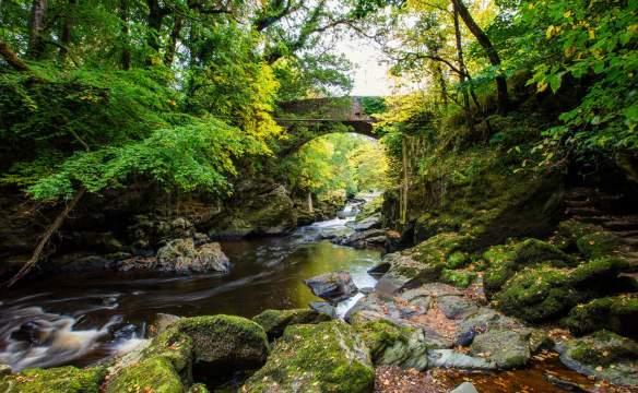 Stream and rugged bridge at Roe Valley Country Park, Limavady