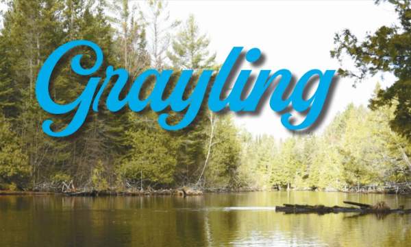 spring summer visitor guide 2025