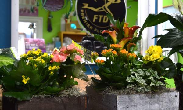 Flowers By Josie