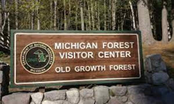 Biking at Hartwick Pines State Park