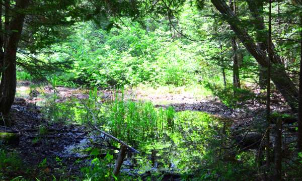 Rayburn Property