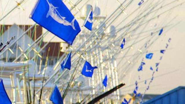 White Marlin Open