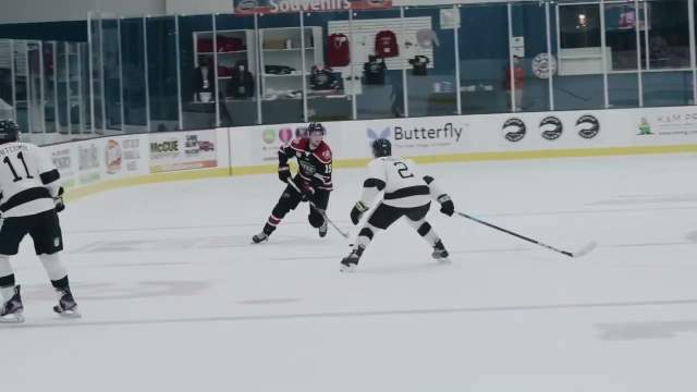 Chicago Steel Pucks and Pups