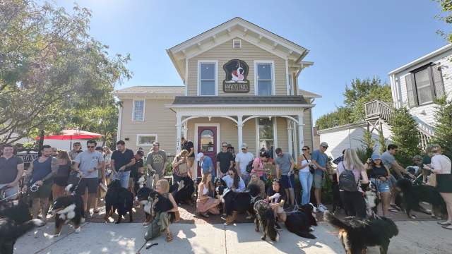 West Suburbs Berner Club Meetup 2025 @ Harvey's Tales in Geneva, Illinois