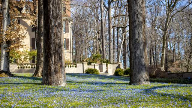 Winterthur Spring Blooms