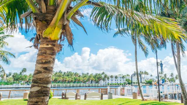 Palm trees and waterfront view of Hillsboro Inlet in Fort Lauderdale, FL