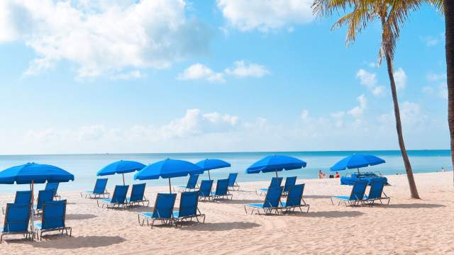 Blue chairs and umbrellas on the beach in Fort Lauderdale