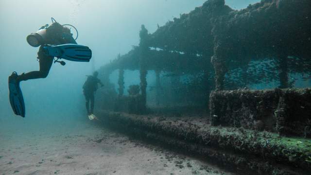 Scuba Diving in Fort Lauderdale