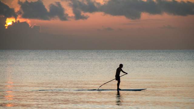 Paddleboard