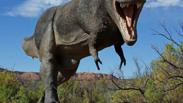 Moab Giants Dinosaur Museum