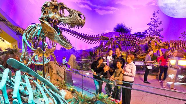 A family looking at a dinosaur fossil in the Children's Museum of Indianapolis Dinosphere