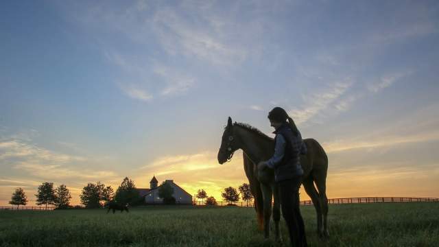 woman with a horse