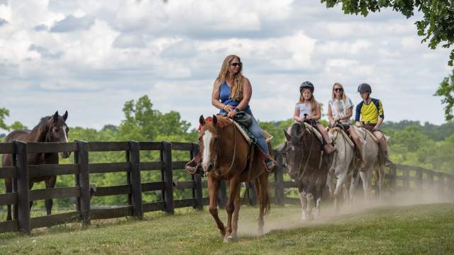 Horseback riding
