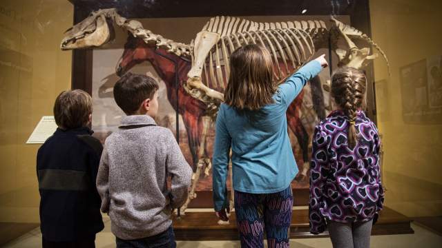 Four children in front of an exhibit at the International Museum of the Horse.