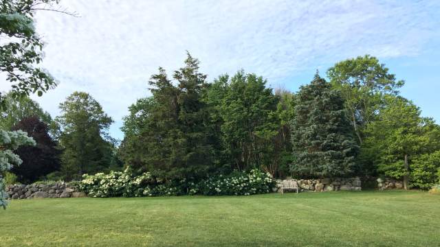 West Tisbury