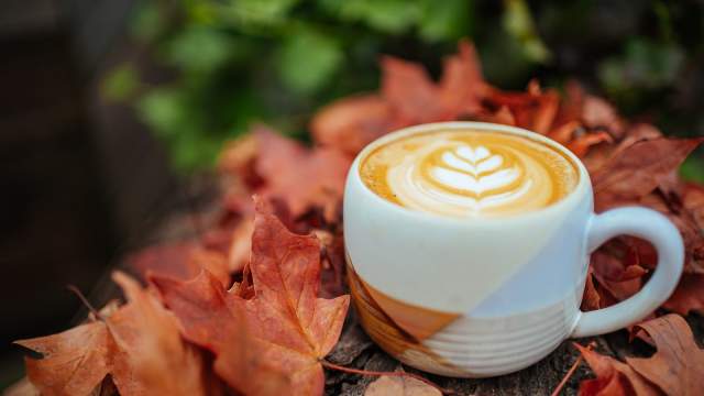 A cup of latte with heart-shaped latte art sitting on a bed of autumn leaves outdoors.