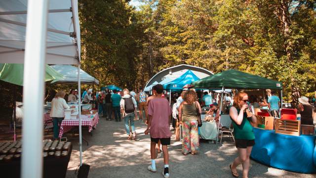 Visitors wander between vendor stalls at a busy outdoor market on Gabriola Island, set among tall trees.
