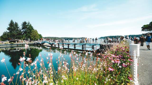 Summer day with flowers