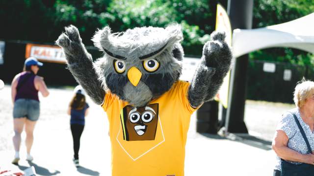 Nightowls Mascot
