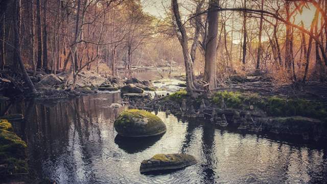 Tar River Trail