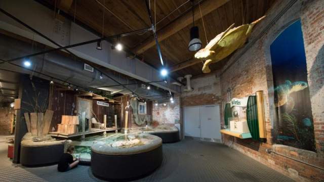 The Imperial Centre for the Arts and Sciences | NC Weekend | UNC-TV